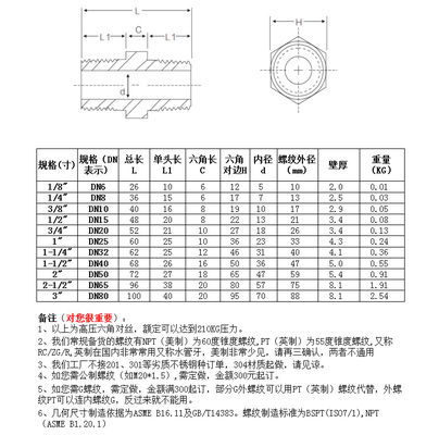 SS304 316 316L 高圧鍛造式ヘクソネプル 300バー 男性糸 同等/減量ネプル