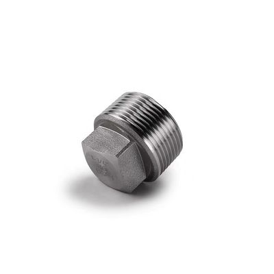 銀で覆われた WZステンレス鋼 304 316 316L 高圧鍛造式正方形プラグ NPT BSPT