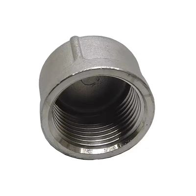 パーソナライズされたサポート ODM WZSS 201 304 316 NPT BSP ローディング用のラウンドエンドプラグ管フィッティング