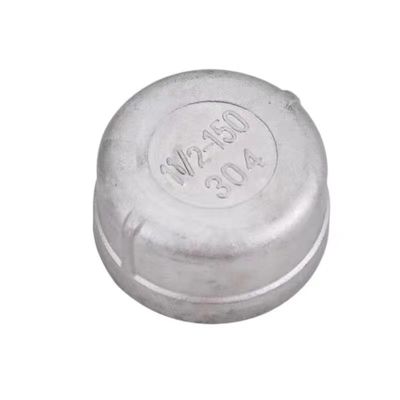 パーソナライズされたサポート ODM WZSS 201 304 316 NPT BSP ローディング用のラウンドエンドプラグ管フィッティング